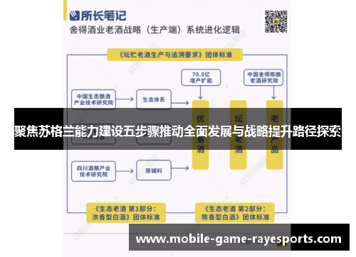 聚焦苏格兰能力建设五步骤推动全面发展与战略提升路径探索