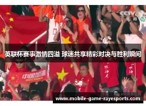 英联杯赛事激情四溢 球迷共享精彩对决与胜利瞬间