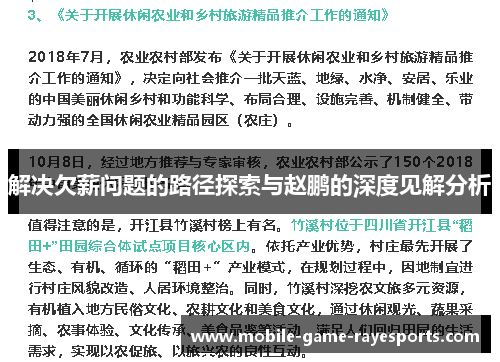 解决欠薪问题的路径探索与赵鹏的深度见解分析