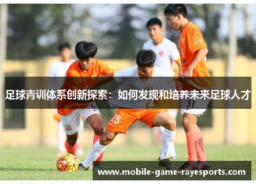 足球青训体系创新探索：如何发现和培养未来足球人才
