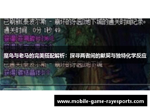 魔鸟与老马的完美搭配解析:探寻两者间的默契与独特化学反应 魔鸟与老马的完美搭配解析:探寻两者间的默契与独特化学反应